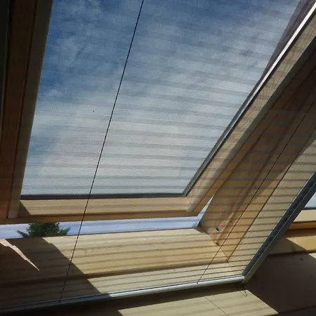 Albatros Ferienhaus *