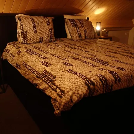 Ferienhaus Albatros Schoorl