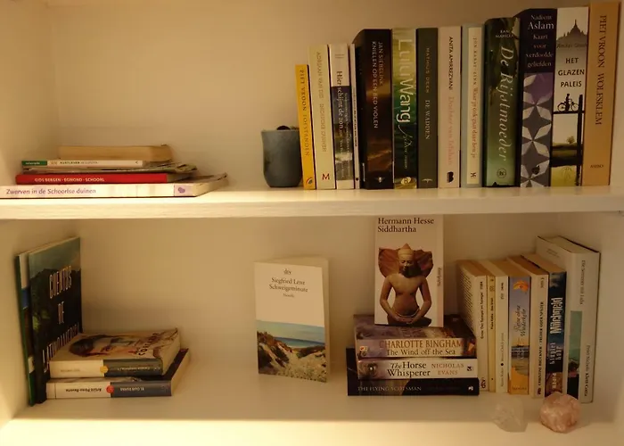 Albatros Ferienhaus *