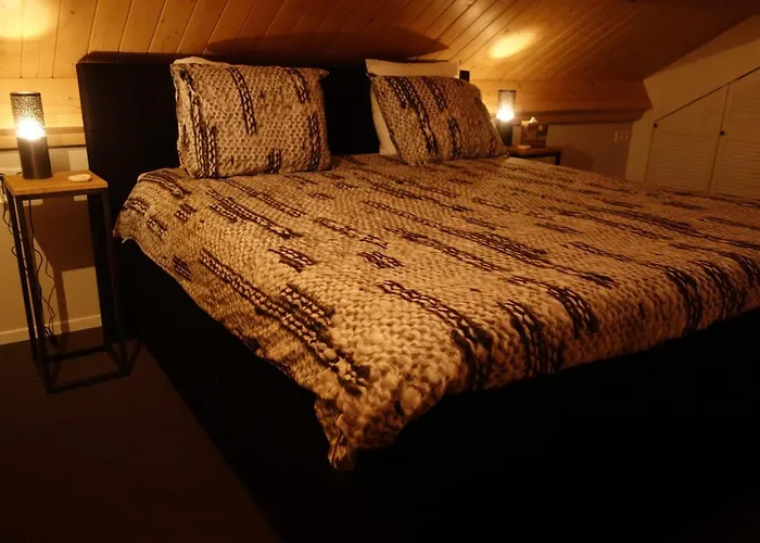 Ferienhaus Albatros Schoorl